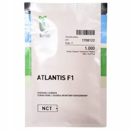 ogorek-gruntowy-atlantis-f1-nasiona-bejo-1000-szt