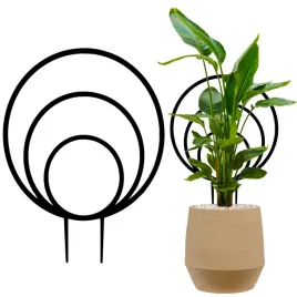 podpora-podporka-do-roslin-kwiatow-25-cm-obrecz