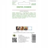 onetek-kosmos-zolty-rodzaj-rosliny-mieszanka-roslin