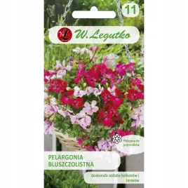 pelargonia-bluszczolistna-zwisajaca-mix-nasiona-kwiatow-roslin-ozdobnych