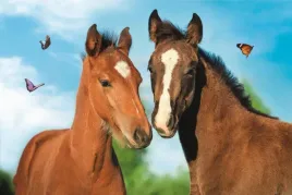 mini-puzzle-konie-urocze-zwierzaki-ukladanka-prezent-dla-dzieci-54el-trefl