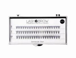 lash-brow-premium-flare-silk-lashes-rzesy-w-kepkach-spectacular-short-kepki
