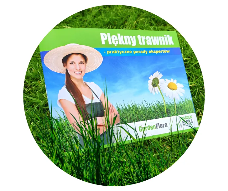 trawa-na-tereny-suche-odporna-na-susze-nasiona-na-gleby-suche-1000m2-20kg-waga-z-opakowaniem-20-kg