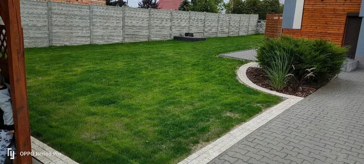 trawa-uniwersalna-trawnik-polski-zageszczajaca-efekt-dywanu-odporna-40kg-waga-z-opakowaniem-40-kg