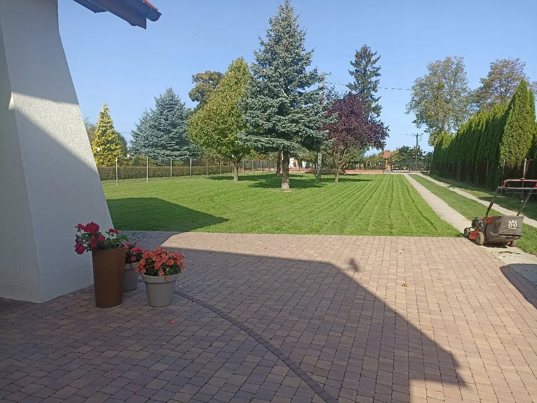 trawa-dywanowa-trawnik-polski-gazon-efekt-dywanu-40kg