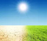 trawa-odporna-na-susze-tereny-gleby-suche-nasiona-trawy-trawnik-gf-sun-3kg-kod-produktu-gf-su3-kom