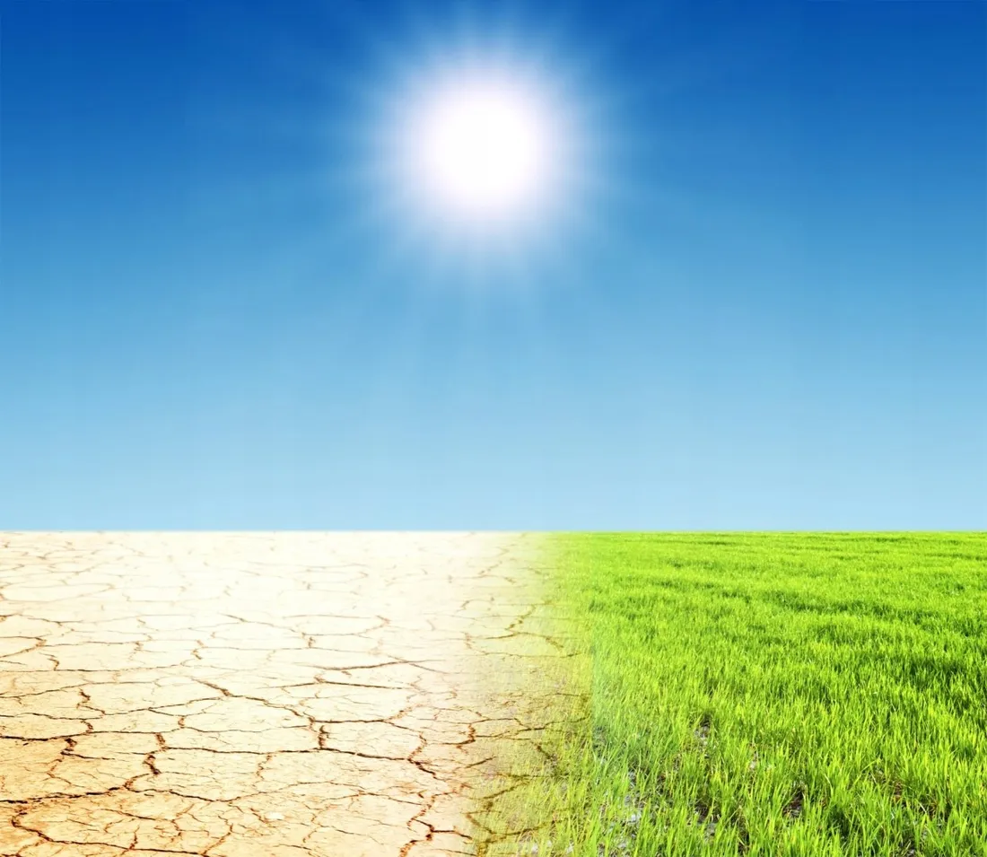 trawa-odporna-na-susze-tereny-gleby-suche-nasiona-trawy-trawnik-gf-sun-40kg