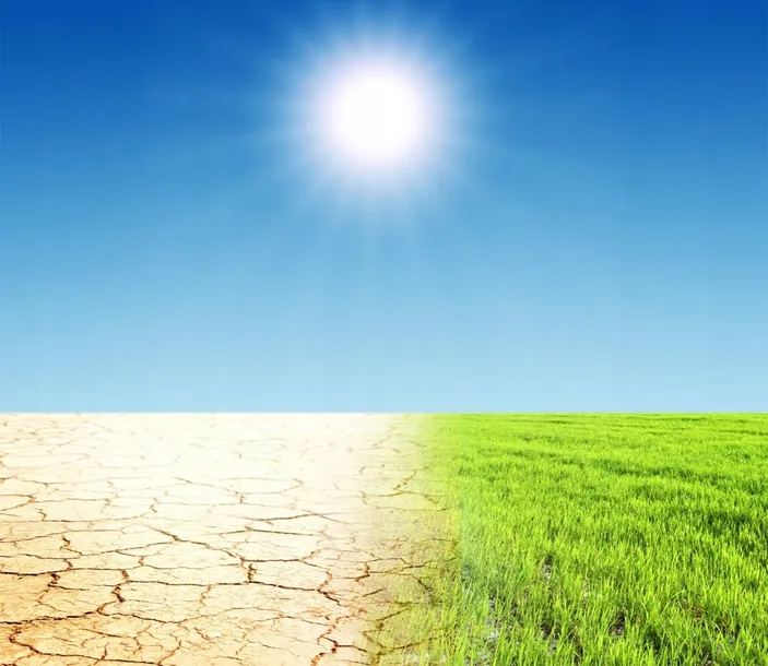 trawa-ozdobna-na-susze-tereny-sloneczne-nasiona-traw-gf-garden-grass-20kg-waga-z-opakowaniem-20-kg