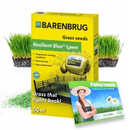 trawa-odporna-barenbrug-resilient-blue-lawn-3kg-nasiona-trawy-uniwersalna