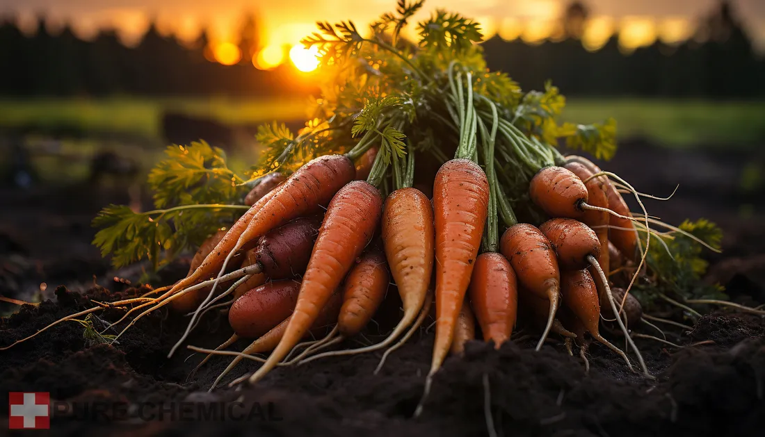 olejek-z-nasion-marchwi-nierafinowany-tloczony-na-zimno-100ml