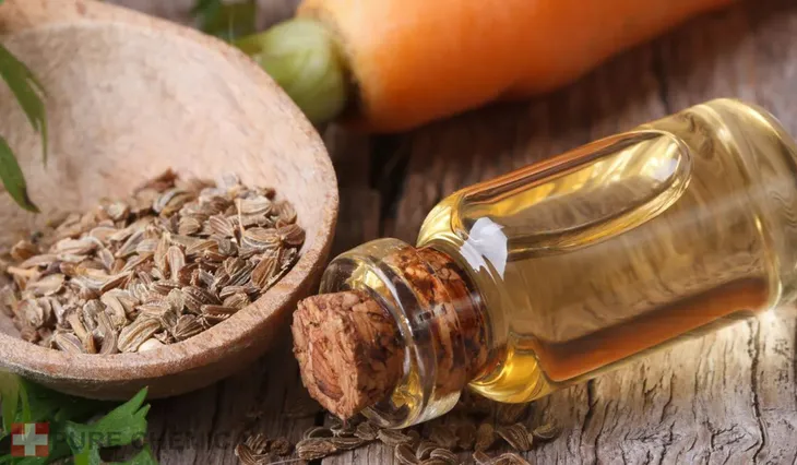 olejek-z-nasion-marchwi-nierafinowany-tloczony-na-zimno-100ml-rodzaj-marchewkowy