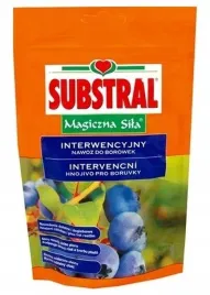 nawoz-do-borowek-borowka-amerykanska-substral-magiczna-sila-350g