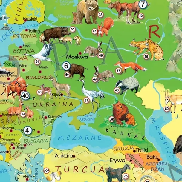 puzzle-200-europa-mlodego-odkrywcy-waga-z-opakowaniem-0-528-kg