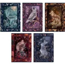 zeszyt-top-2000-fairytale-a5-60-kartek-w-linie-z-marginesem