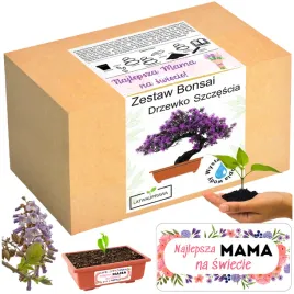 prezent-na-dzien-matki-drzewko-szczescia-bonsai-prezent-na-dzien-mamy-roza