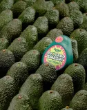 gra-ridley-s-games-avocado-smash-wiek-gracza-5-7-lat-8-11-lat-12-14-lat-15-18-lat-18