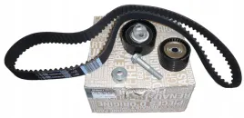 zestaw-rozrzadu-renault-20-01-renault-130c19656r