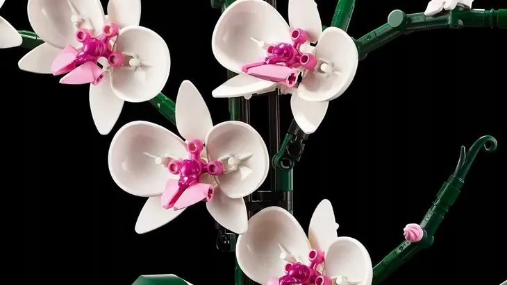 lego-botanicals-orchidea-10311-certyfikaty-opinie-atesty-ce