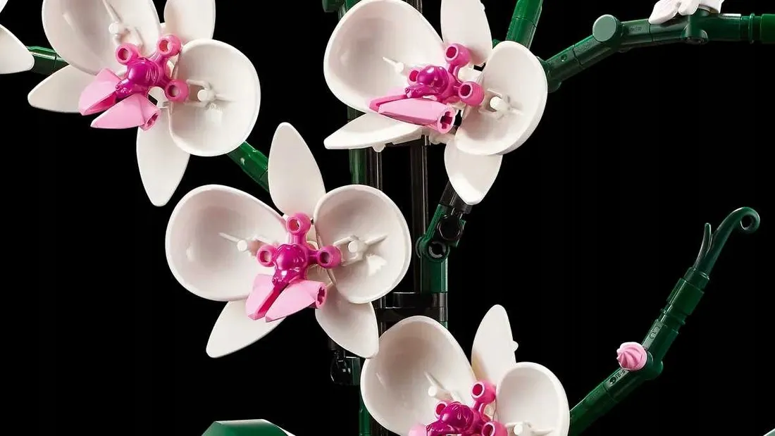lego-botanicals-orchidea-10311