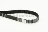 continental-ct1101-pasek-rozrzadu-stan-nowy