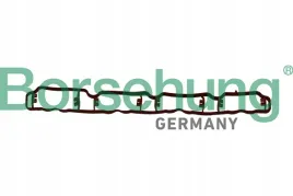 uszczelka-kol-ss-vw-golf-2-0-04-borsehung-b19250
