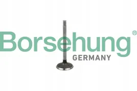 zawor-ss-vw-1-4-1-9-2-0-2-5tdi-6v-8v-10v-borsehung-b19029