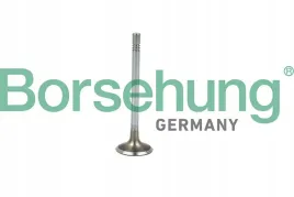 zawor-ss-vag-2-0d-10-borsehung-b19021-bor