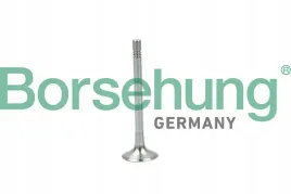 zawor-wyd-vw-2-0tdi-16v-borsehung-b19004