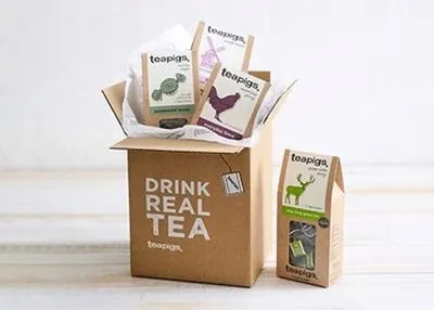 teapigs-peppermint-leaves-15-piramidek