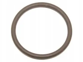 pierscien-wtryskiwacza-bosch-f-00r-j01-878