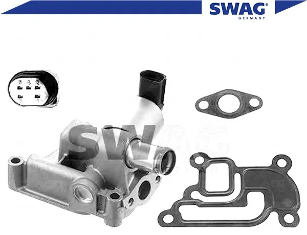 zawor-egr-swag