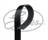 pasek-wieloklinowy-hd-numer-katalogowy-oryginalu-mercedes-benz-9069974792-mercedes-benz-a9069974792