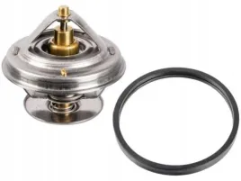 febi-bilstein-172219-termostat-plyn-chlodzacy