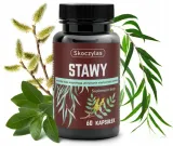 skoczylas-stawy-60-kapsulek-waga-z-opakowaniem-0-1-kg
