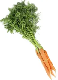 marchew-mloda-peczek-ok-500-g