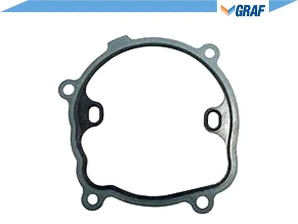 graf-pompa-wody-renault-22dci-00