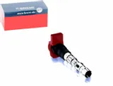 cewka-zaplonowa-bremi