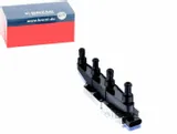 cewka-zaplonowa-bremi