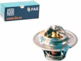 termostat-fae
