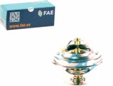 termostat-fae
