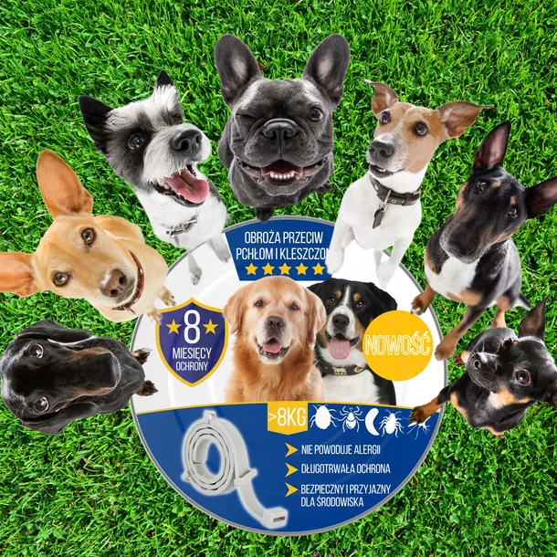 obroza-na-kleszcze-i-pchly-dla-duzego-psa-antykleszczowa-8-miesiecy-marka-inna