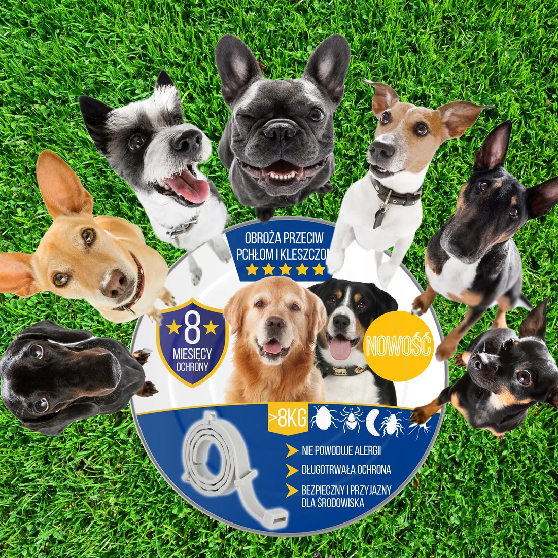 obroza-na-kleszcze-i-pchly-dla-duzego-psa-antykleszczowa-8-miesiecy