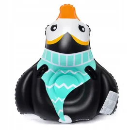 slizg-sniezny-meteor-penguin-czarny-mietowy
