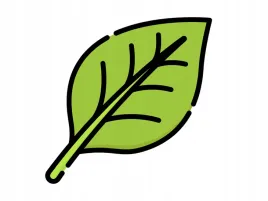 iris-brodkowy-sladke-mameni-klacze-rozowy