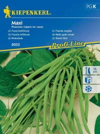 fasola-szparagowa-maxi-karlowa-zielona-nasiona-kiepenkerl