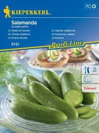 ogorek-salatkowy-salamanda-odporna-odmiana