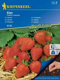 nasiona-truskawki-zwisajacej-truskawka-elan-kiepenkerl