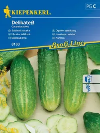 ogorek-salatkowy-delikate-dobre-nasiona