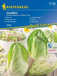 kapusta-biala-caraflex-odporna-odmiana-nasiona-kiepenkerl