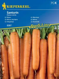 marchew-santorin-pozna-odmiana-odporna-na-choroby-nasiona-kiepenkerl